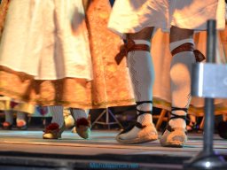 Festival de Folkore en Mula